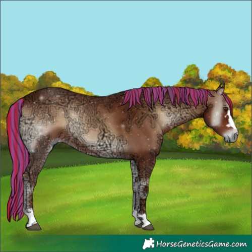 Horse Color:Painted Red Onyx Ice 