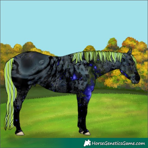 Horse Color:ERROR: UNKNOWN ANOMALY