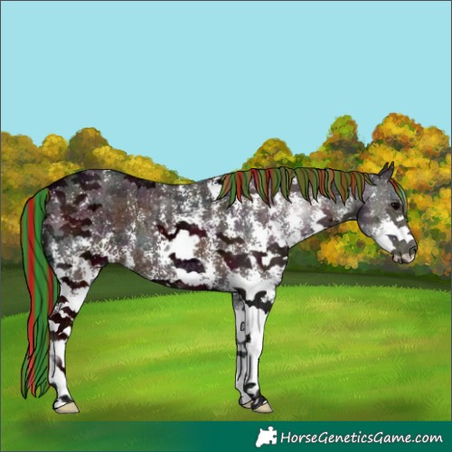 Horse Color:Painted Midnight Chocolate Blue Onyx Ice Sabino Varnish