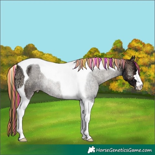 Horse Color:Painted Blue Onyx Ice Tobiano