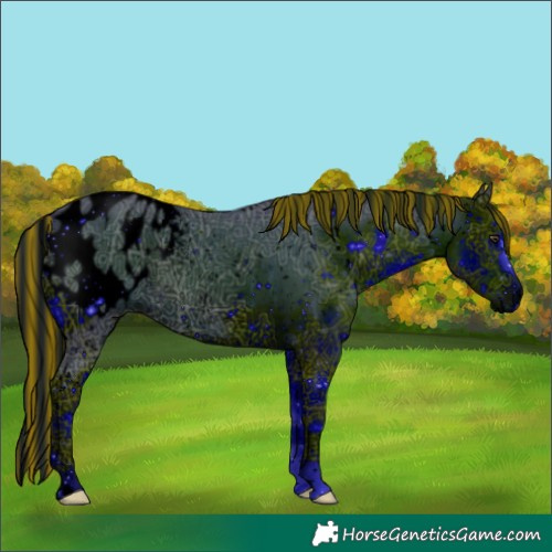 Horse Color:ERROR: UNKNOWN ANOMALY