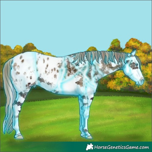 Horse Color:Thunderstruck Plaid Red Onyx Ice Sabino Splash Blanket