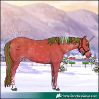 Horse Color:Painted Chestnut Tobiano 