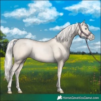 Horse Color:Silver Amber Cream Champagne Pearl 