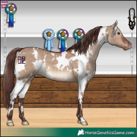 Horse Color:White Spotted Chocolate Brown Dun Varnish 