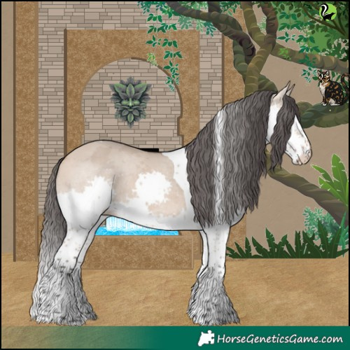 Horse Color:Bay Dun Merle Splash Tobiano Rabicano 