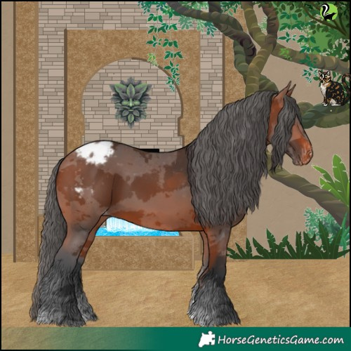 Horse Color:Bay Merle Tobiano Appaloosa 