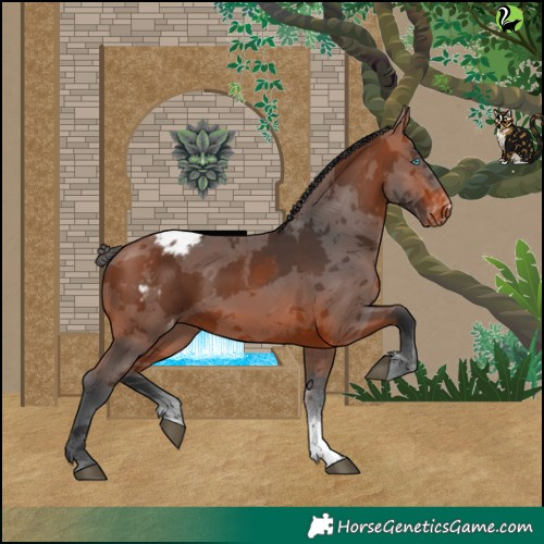 Horse Color:Bay Merle Tobiano Varnish
