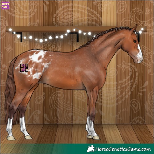Horse Color:Chocolate Bay Varnish