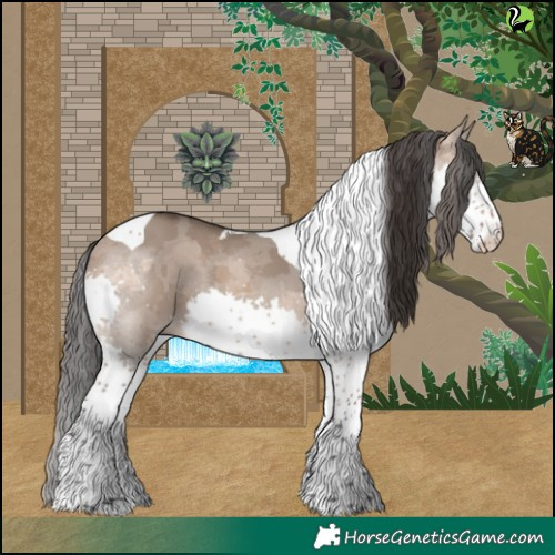 Horse Color:Brown Dun Merle Splash Tobiano Rabicano 