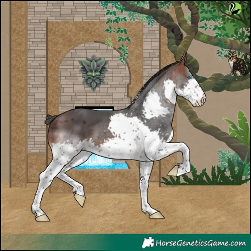 Horse Color:Brown Merle Splash Tobiano 