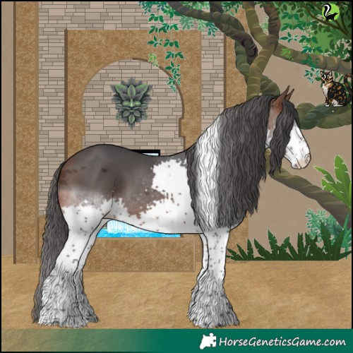 Horse Color:Brown Merle Splash Tobiano