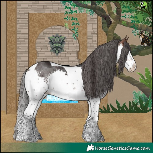 Horse Color:Brown Merle Splash Tobiano Rabicano