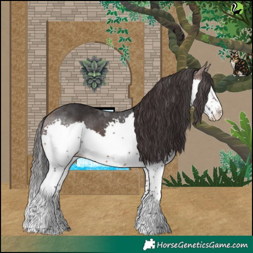 Horse Color:Brown Splash Tobiano Rabicano 