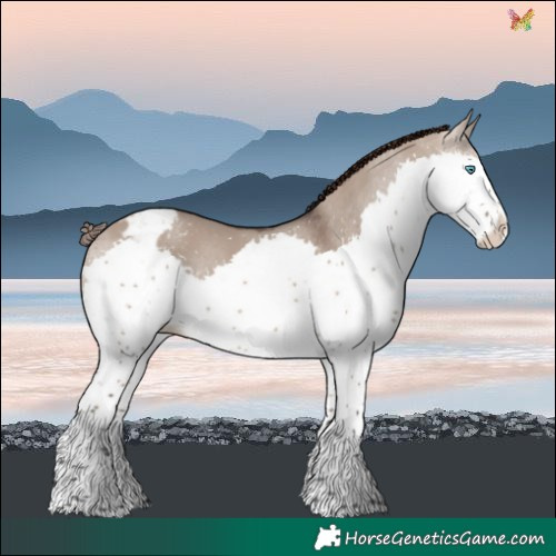 Horse Color:Brown Dun Splash Tobiano Varnish Rabicano 