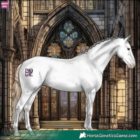 Horse Color:Chestnut Sabino Appaloosa