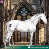 Horse Color:Chestnut Sabino Appaloosa