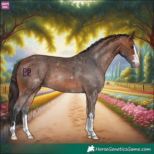 Horse Color:Bay Varnish
