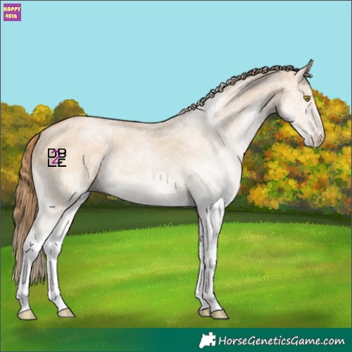 Horse Color:White Spotted Bay Pearl Dun 