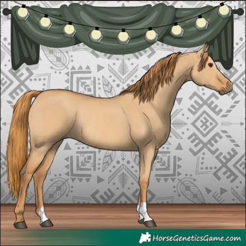 Horse Color:Red Dun Rabicano 