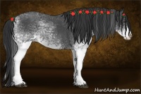 Horse Color:White Spotted Blue Roan Splash 