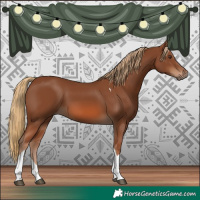 Horse Color:Chestnut Tobiano