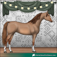 Horse Color:Red Dun 