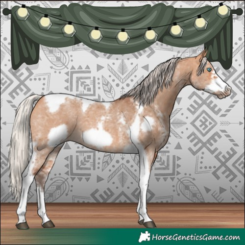 Horse Color:Silver Bay Dun Sabino Tobiano Frame Rabicano 
