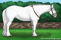 Horse Color:Silver Grullo Varnish 