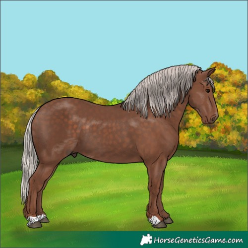 Horse Color:Silver Black 