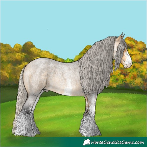 Horse Color:White Spotted Silver Buckskin Roan