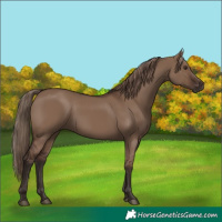 Horse Color:Liver Red Dun 