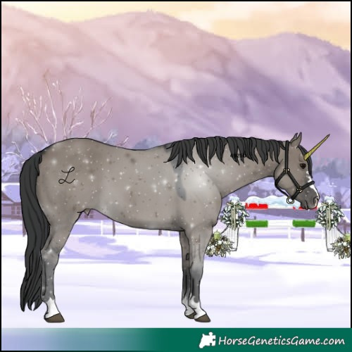 Horse Color:Grullo 