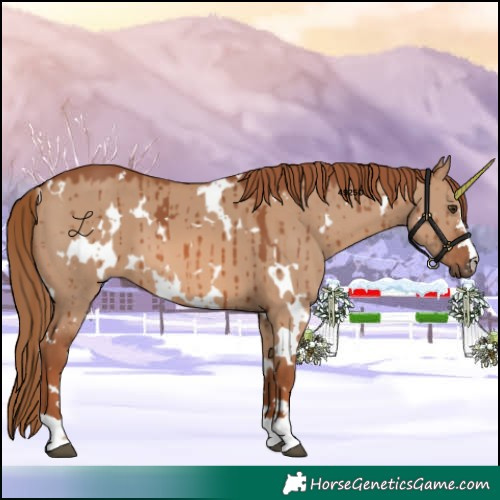 Horse Color:White Spotted Red Dun Brindle 