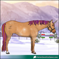 Horse Color:Painted Red Dun