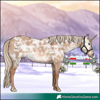 Horse Color:Red Dun Ice 