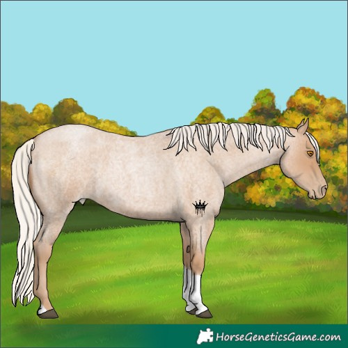 Horse Color:Silver Blue Roan Pearl Tobiano 
