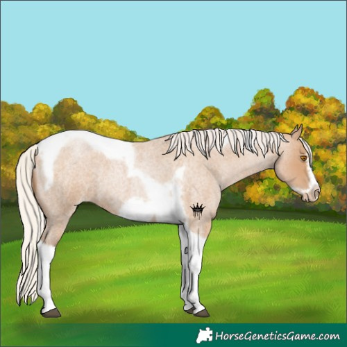 Horse Color:Silver Blue Roan Pearl Tobiano Frame 
