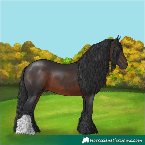 Horse Color:Brown 