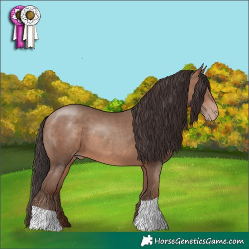 Horse Color:Sable Champagne