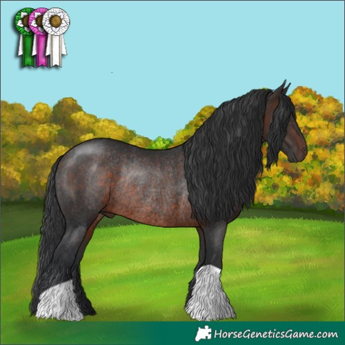 Horse Color:Brown Rabicano 