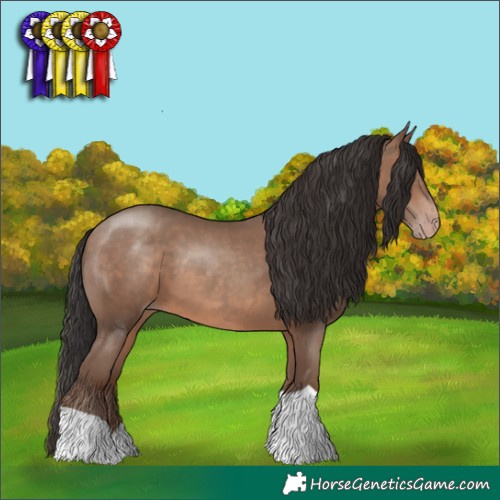 Horse Color:Sable Champagne