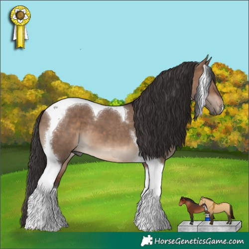 Horse Color:Brown Dun Tobiano 