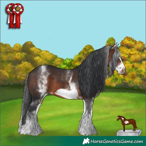 Horse Color:White Spotted Brown Frame Rabicano