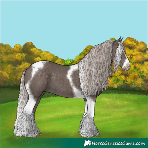Horse Color:Silver Black Splash Tobiano Frame 