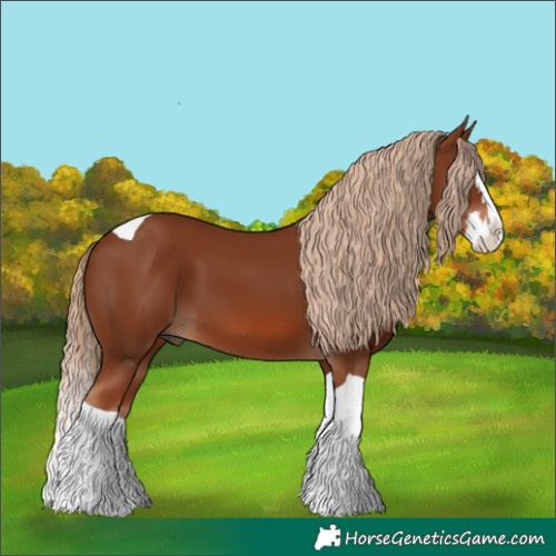 Horse Color:Chestnut Splash Tobiano 