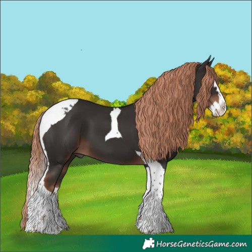 Horse Color:Liver Chestnut Splash Tobiano
