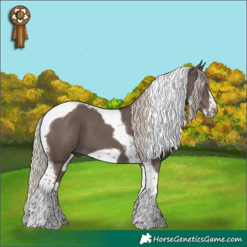 Horse Color:Silver Black Tobiano Frame