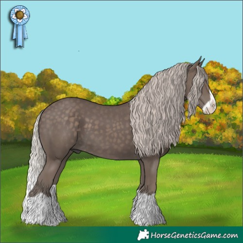 Horse Color:Silver Black Splash