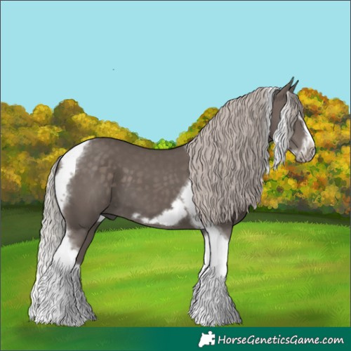 Horse Color:Silver Black Splash Tobiano Frame 